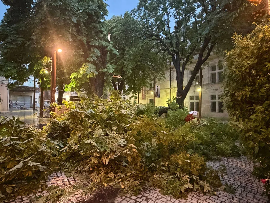 Catastrophe naturelle reconnue pour les intempéries à Saint-Rémy-de-Provence