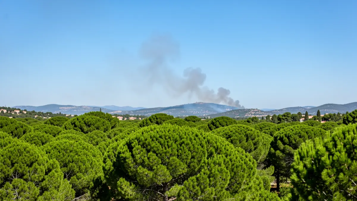 Image générique de fumée s'élevant d'une forêt méditerranéenne.